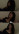 ⚜️ body ⚜️ w/a